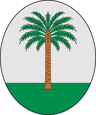 inicio 9 Migjorn Gran